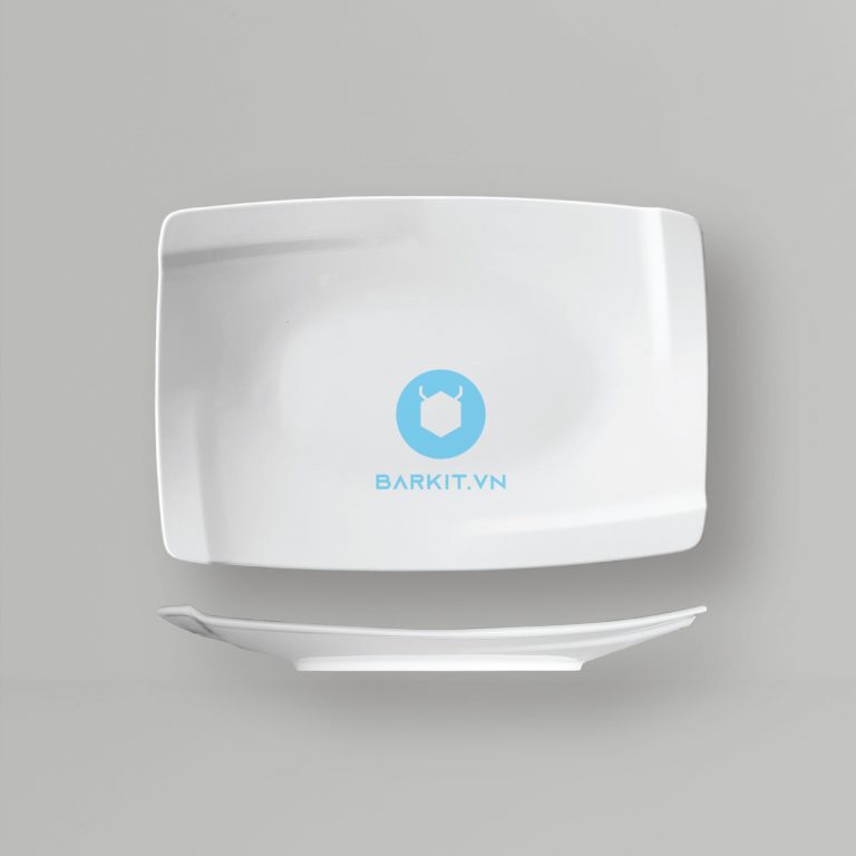 Dĩa Hình Chữ Nhật 10