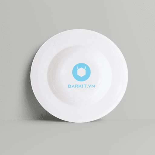 Dĩa Soup/ Mỳ Ý 10